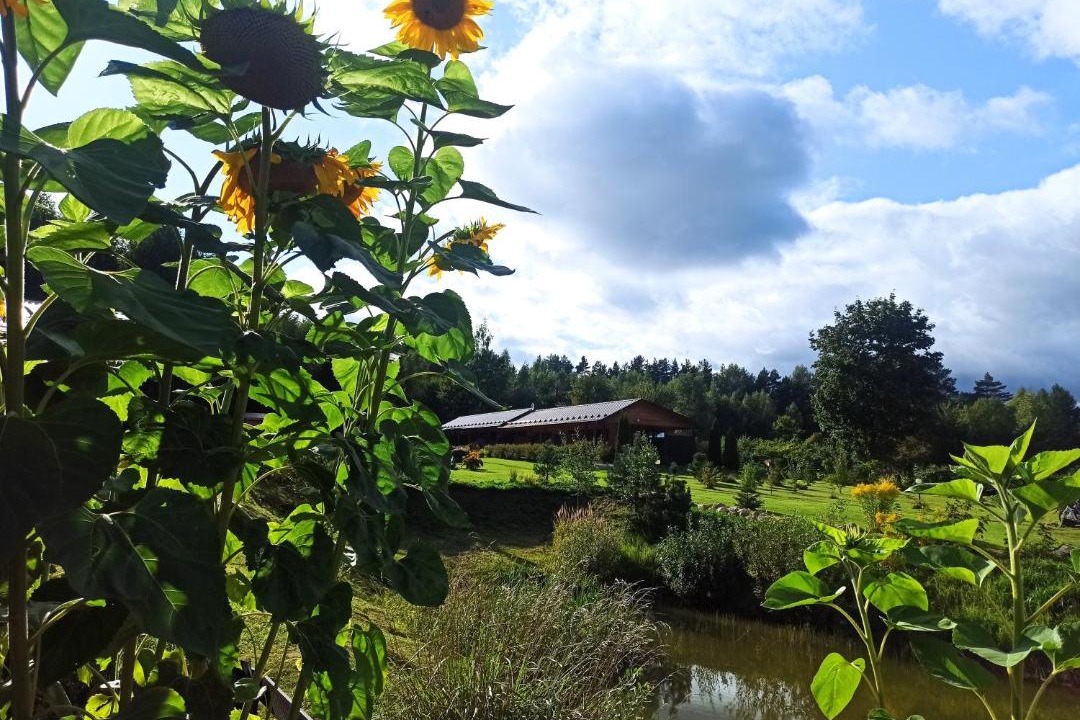 Photo of Others in Bugrovo