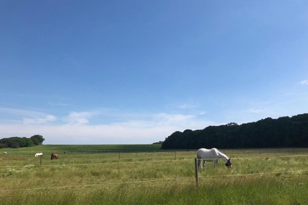 Photo of Outdoor in Layer Marney