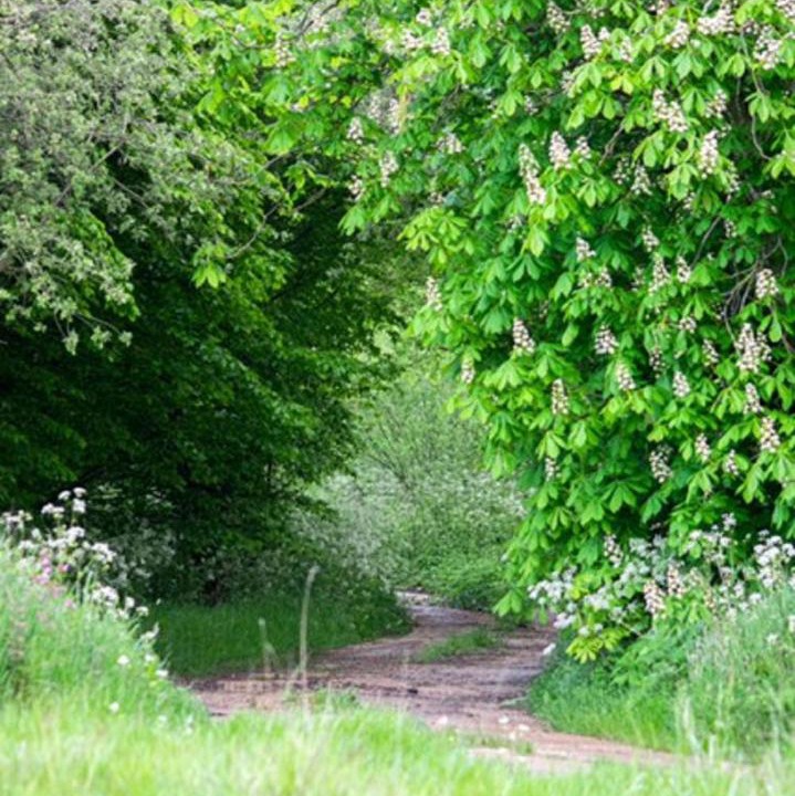 Photo of Others in Layer Marney