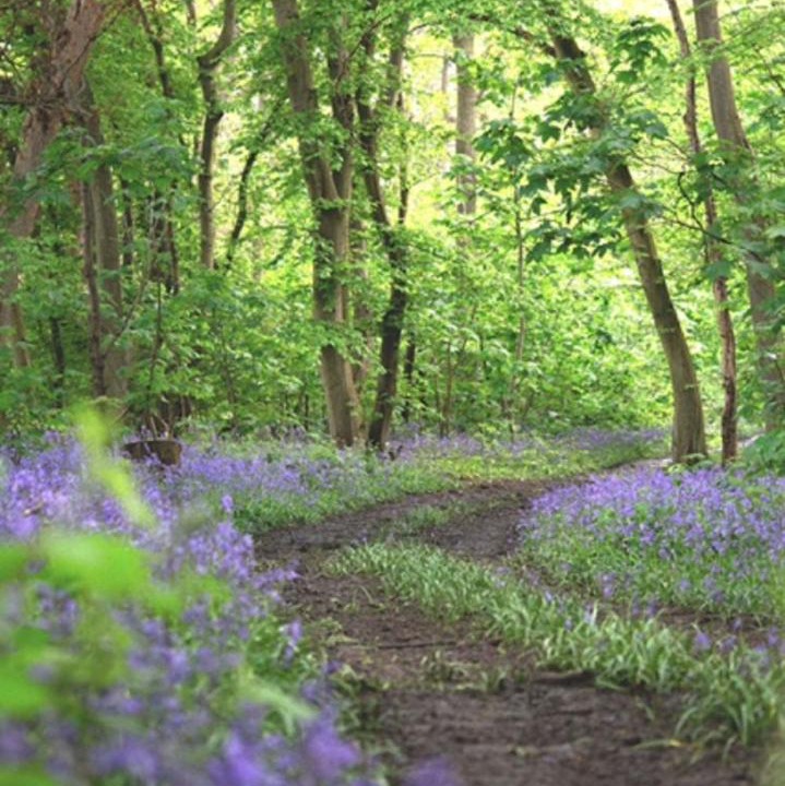 Photo of Others in Layer Marney