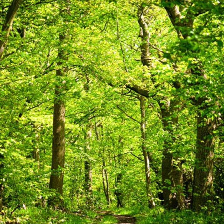 Photo of Others in Layer Marney