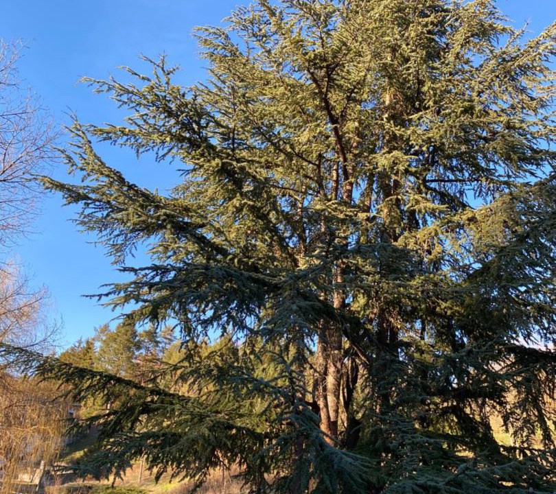 Photo of Outdoor in Saint-Nectaire