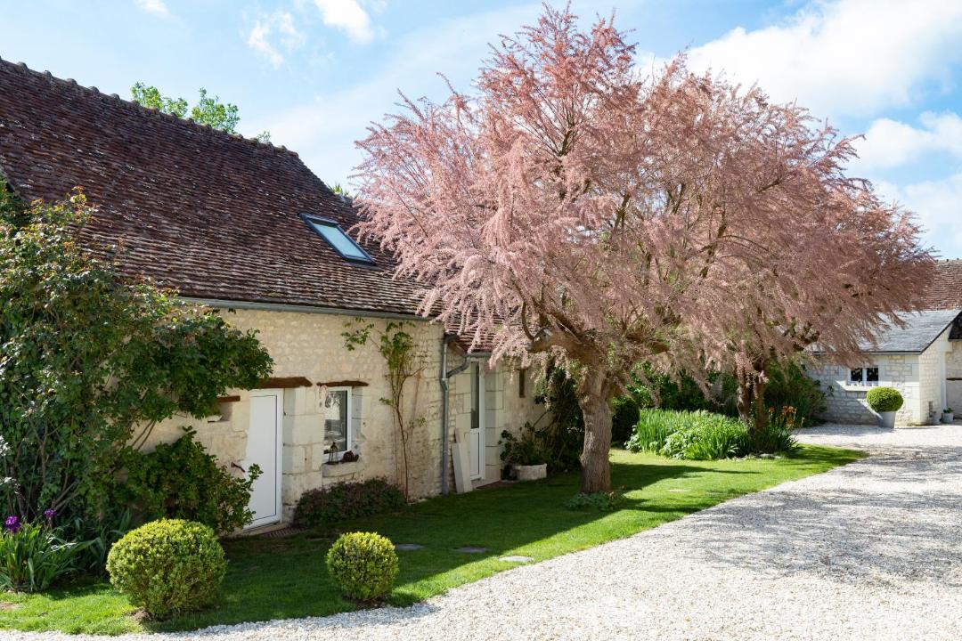 Photo of Others in Lemere