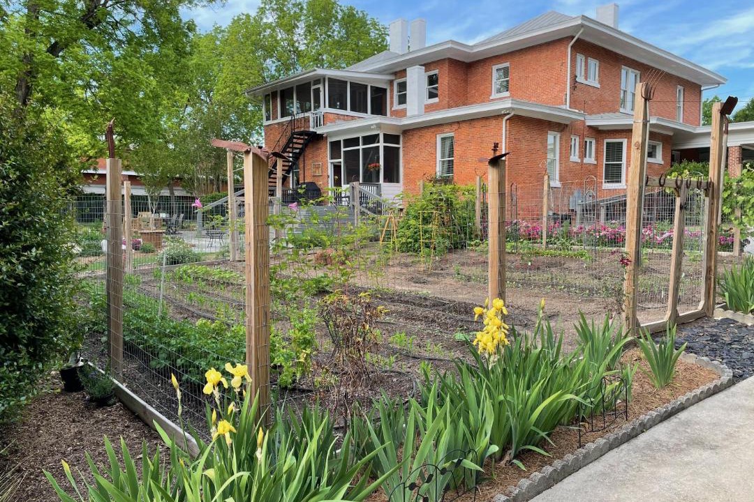 Photo of Others in Maxeys