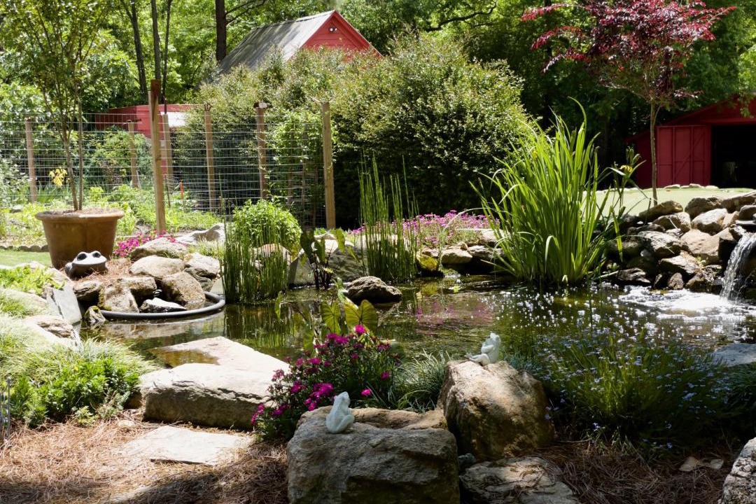 Photo of Others in Maxeys