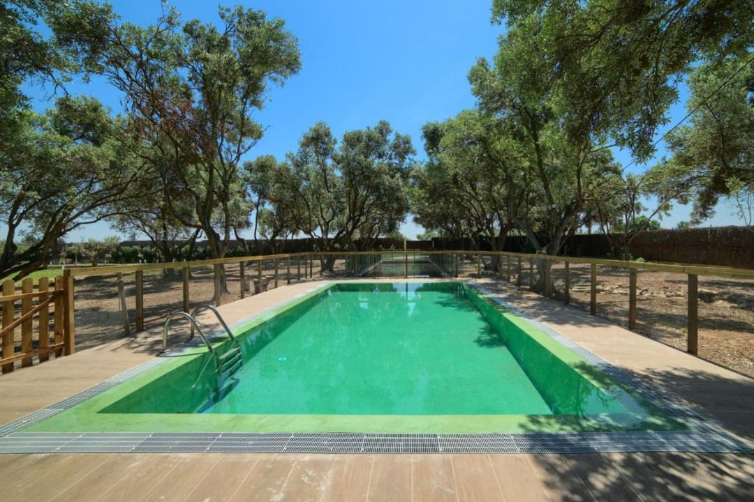 Photo of Outdoor in Cascante