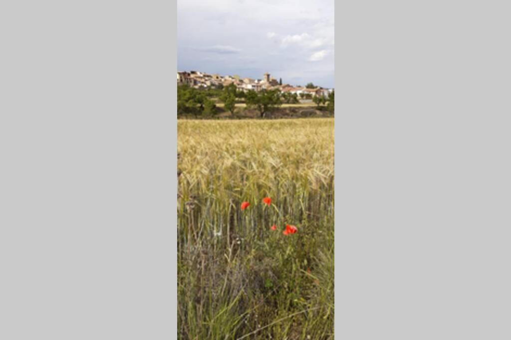 Photo of Others in Villores
