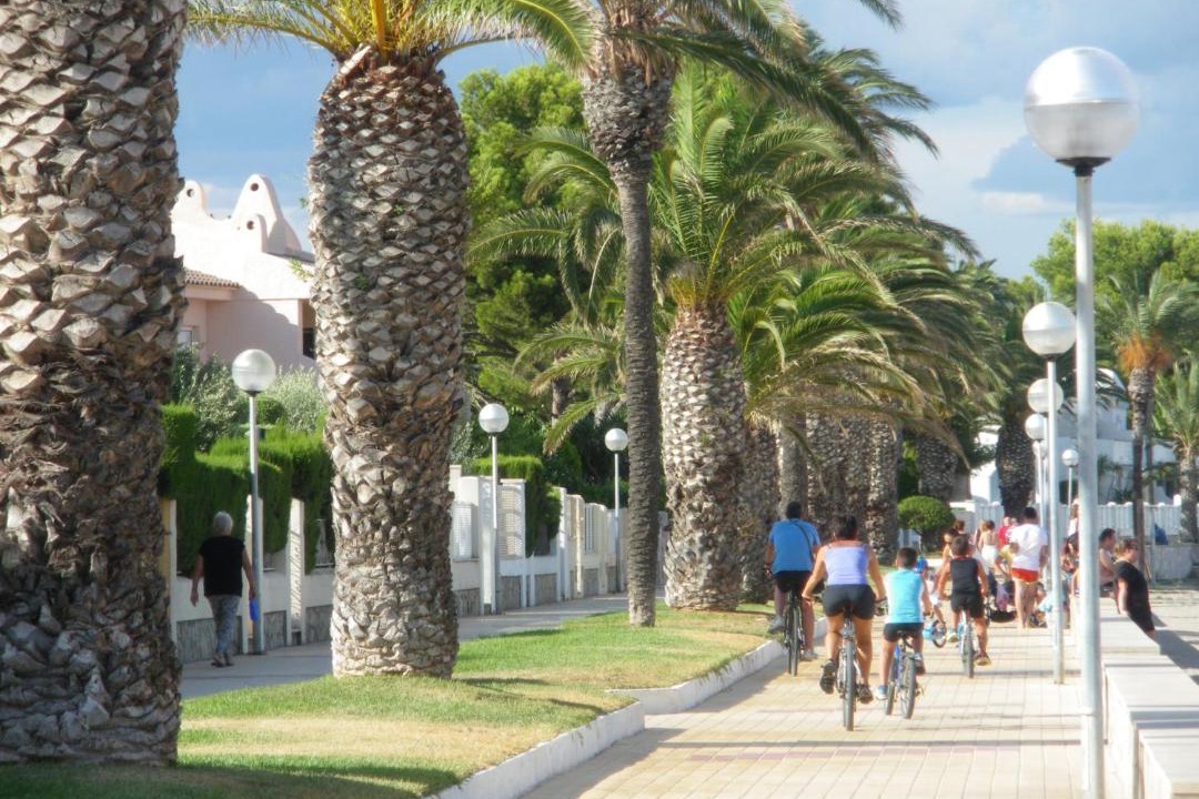 Photo of Others in Miami Platja