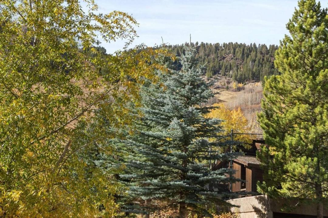 Photo of Others in Aspen