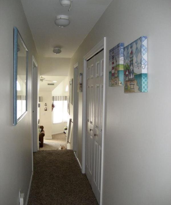 Photo of Others in Gold Coast