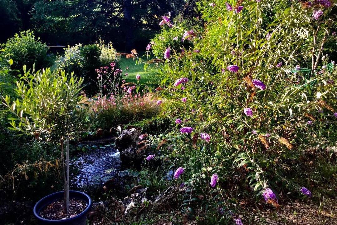 Photo of Outdoor in Saint-Pompont