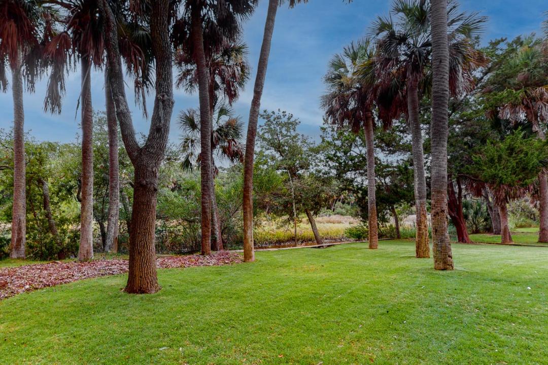 Photo of Others in Edisto Island