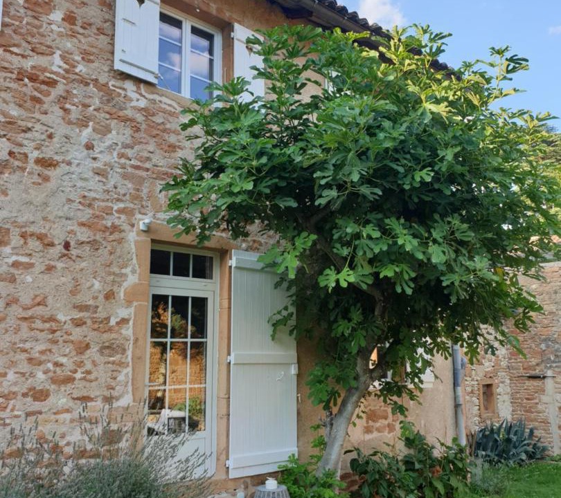 Photo of Others in Charnay-les-Macon