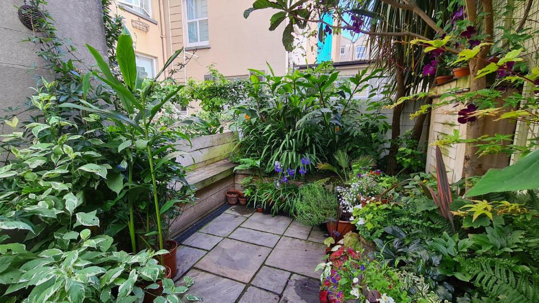 Photo of Others in Kemptown