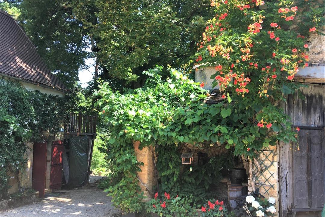 Photo of Others in Sainte-Alvere