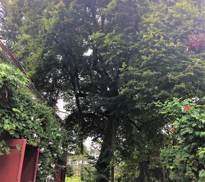 Photo of Others in Sainte-Alvere