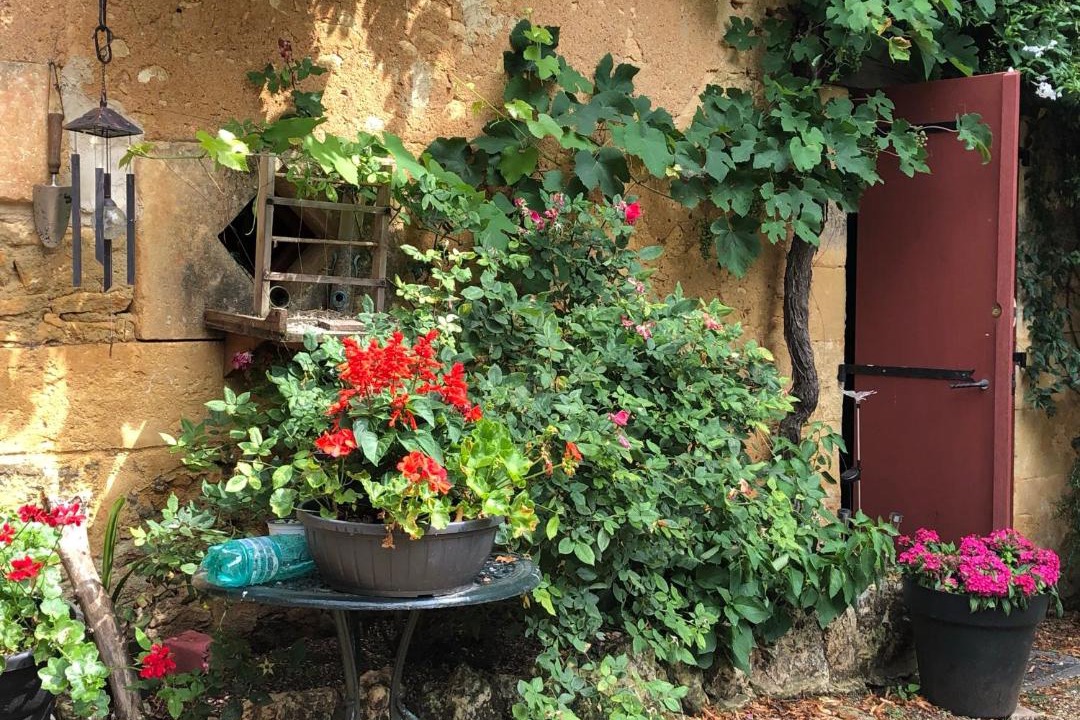 Photo of Others in Sainte-Alvere