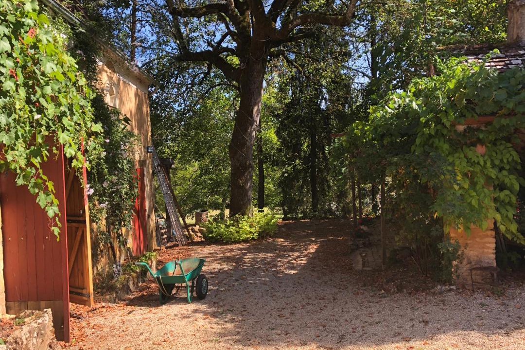 Photo of Others in Sainte-Alvere