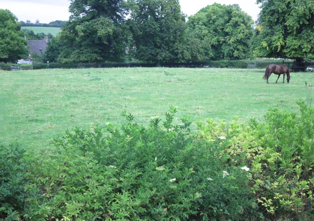 Photo of Others in Sulgrave