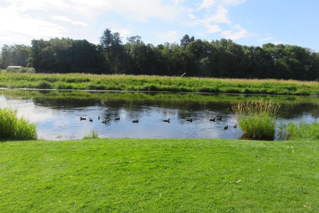 Photo of Others in Bjerringbro