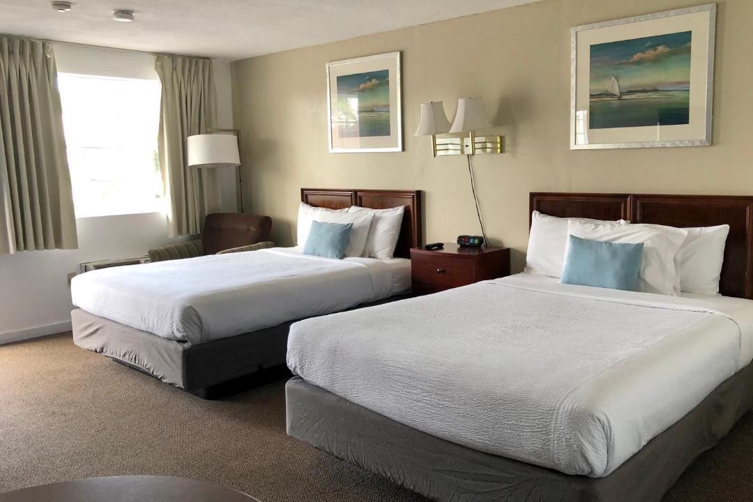 Photo of Others in West Dennis