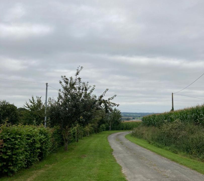 Photo of Others in Bazouges-la-Perouse