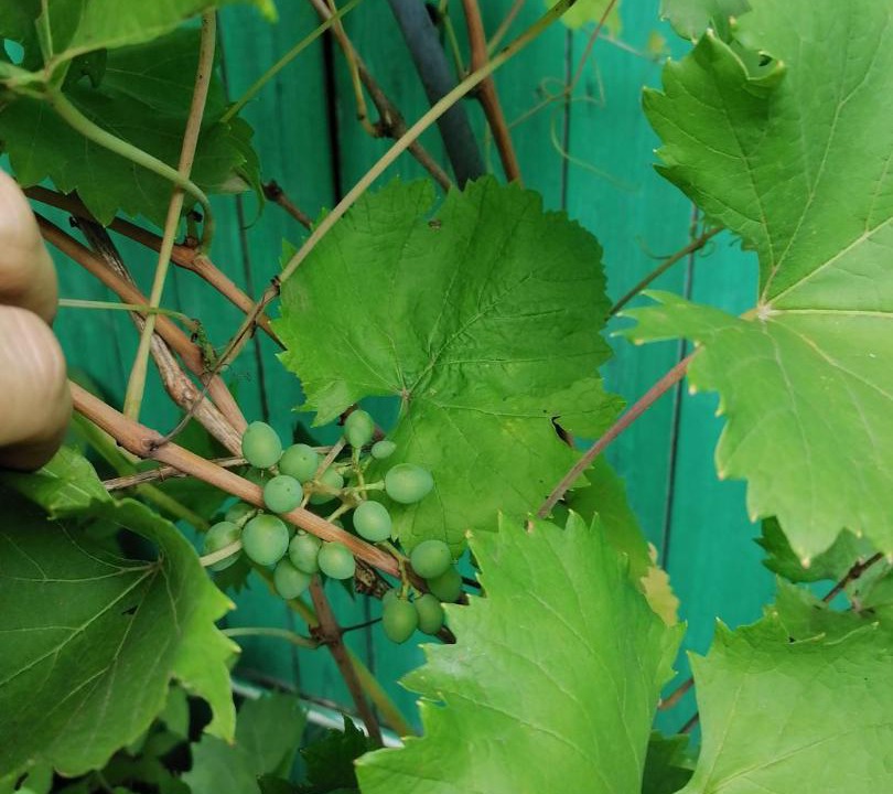 Photo of Others in Leninsky District