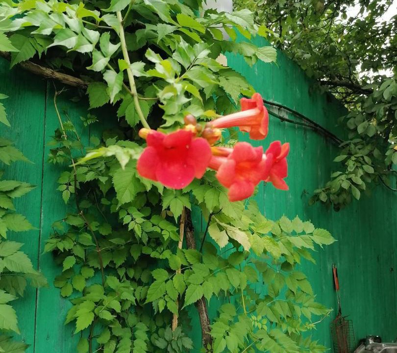 Photo of Outdoor in Leninsky District