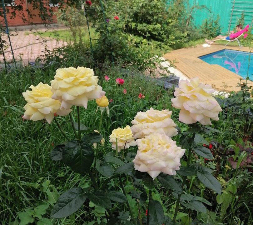 Photo of Outdoor in Leninsky District