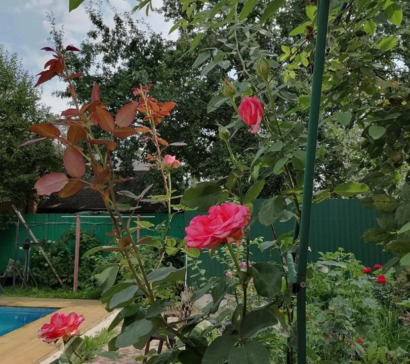 Photo of Others in Leninsky District