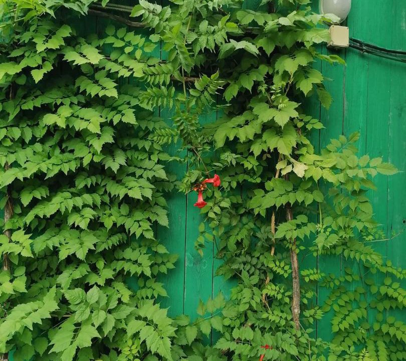 Photo of Outdoor in Leninsky District