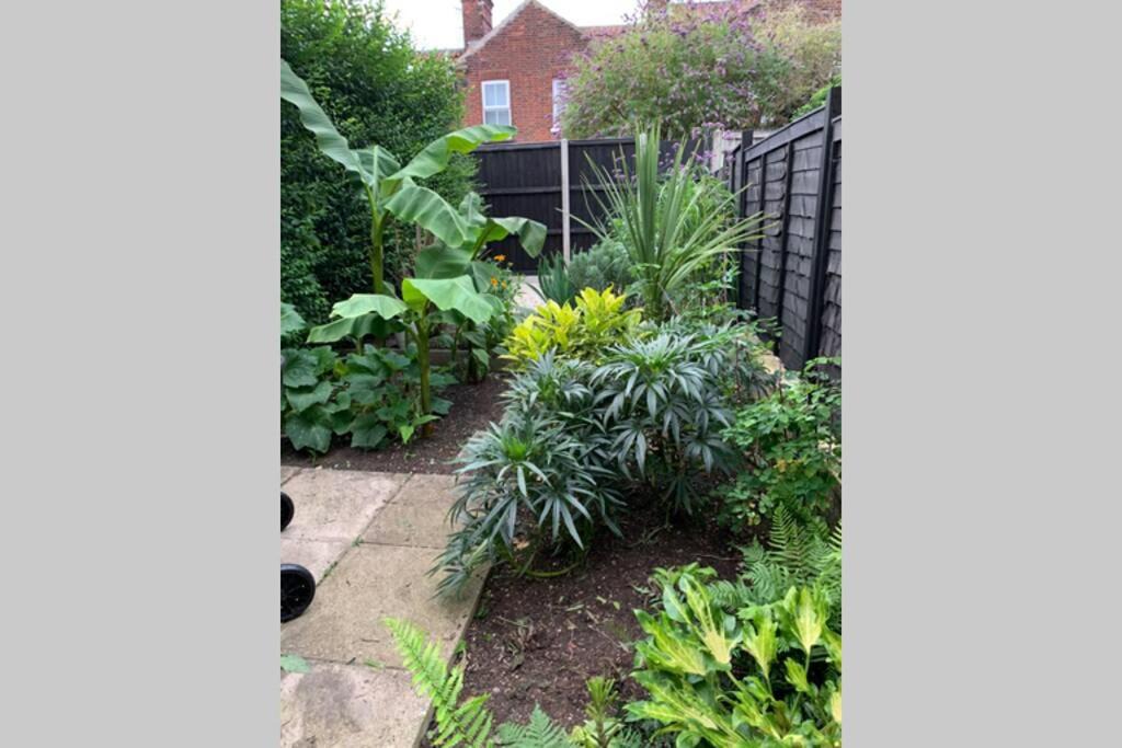 Photo of Others in Norwich