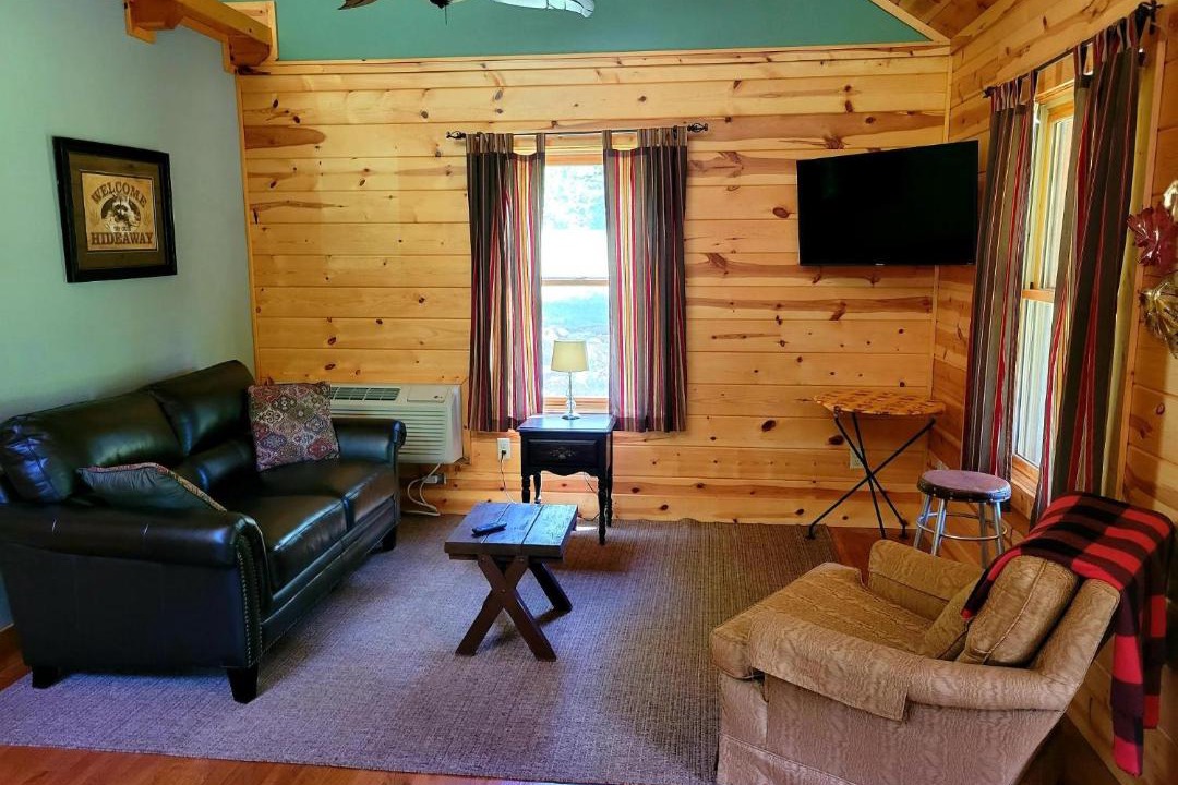 Photo of Livingroom in Sylva