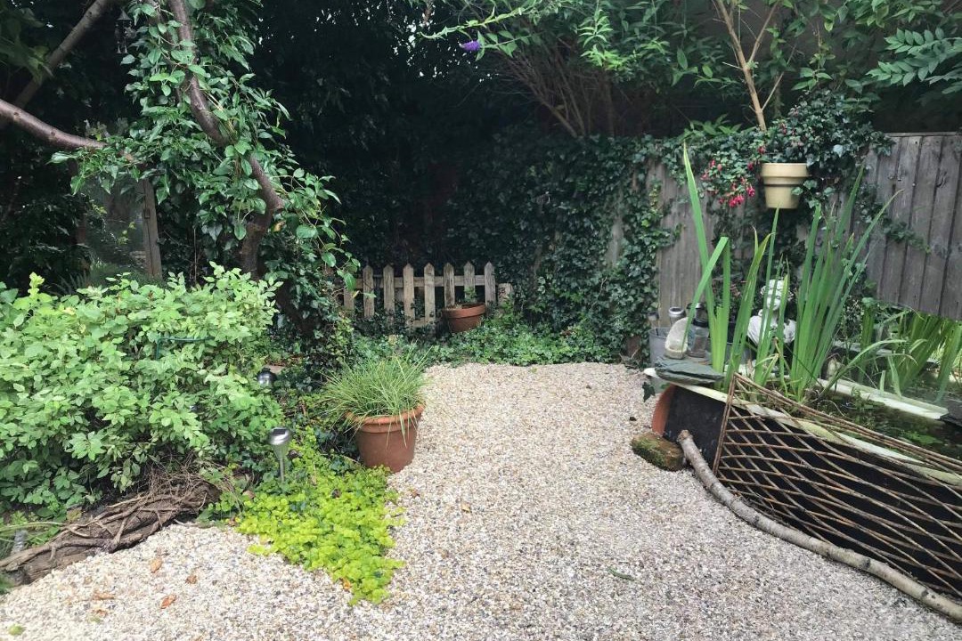 Photo of Others in Bumble's Green