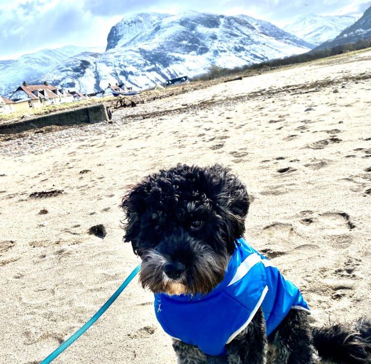 Photo of Outdoor in Fort William