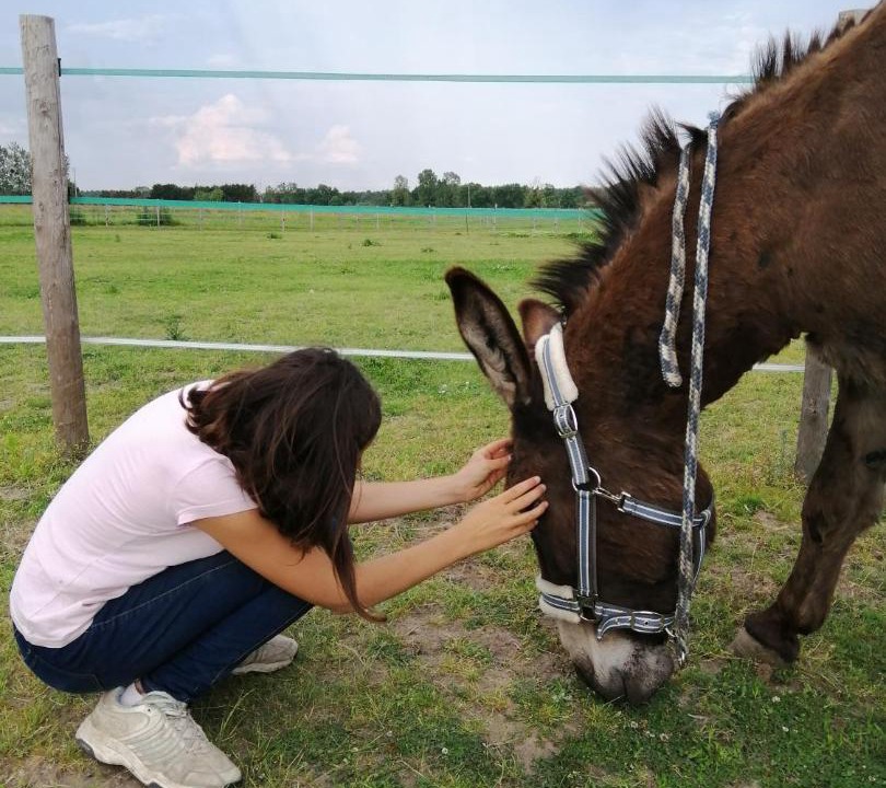 Photo of Others in Ingrannes