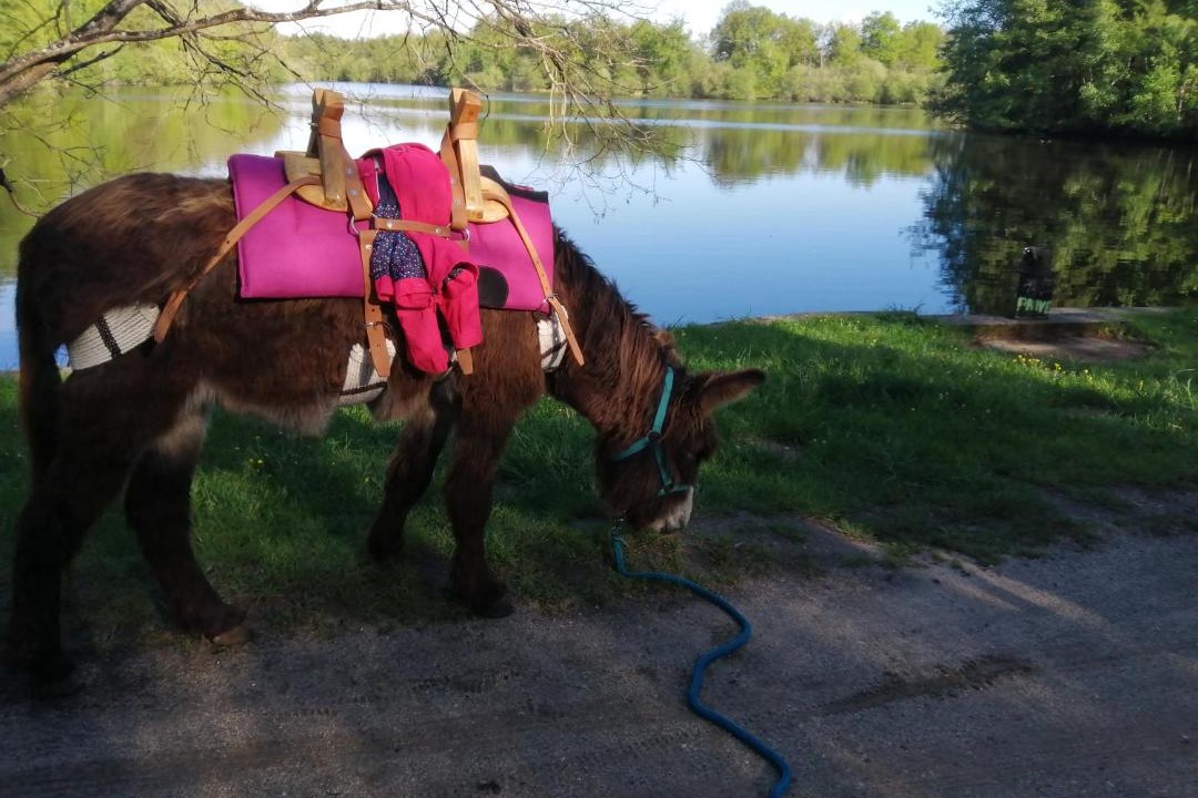 Photo of Others in Ingrannes