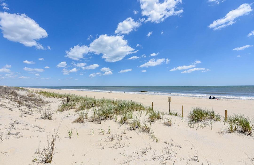 Photo of Others in North Ocean City