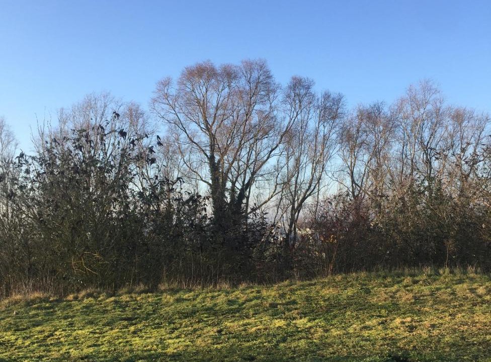 Photo of Others in Armentieres