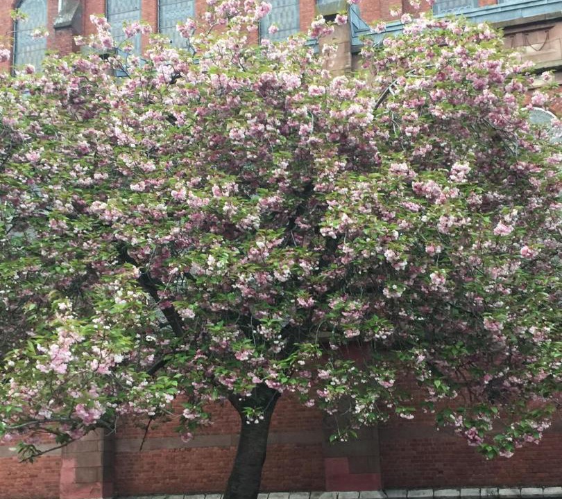 Photo of Outdoor in Armentieres