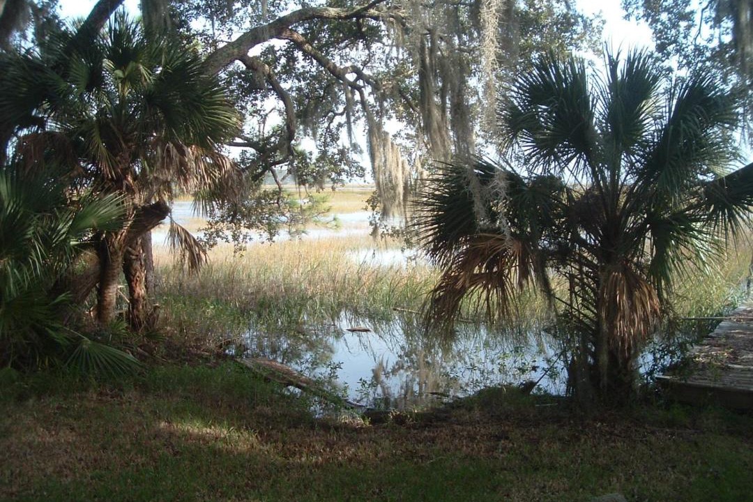 Photo of Others in Valona