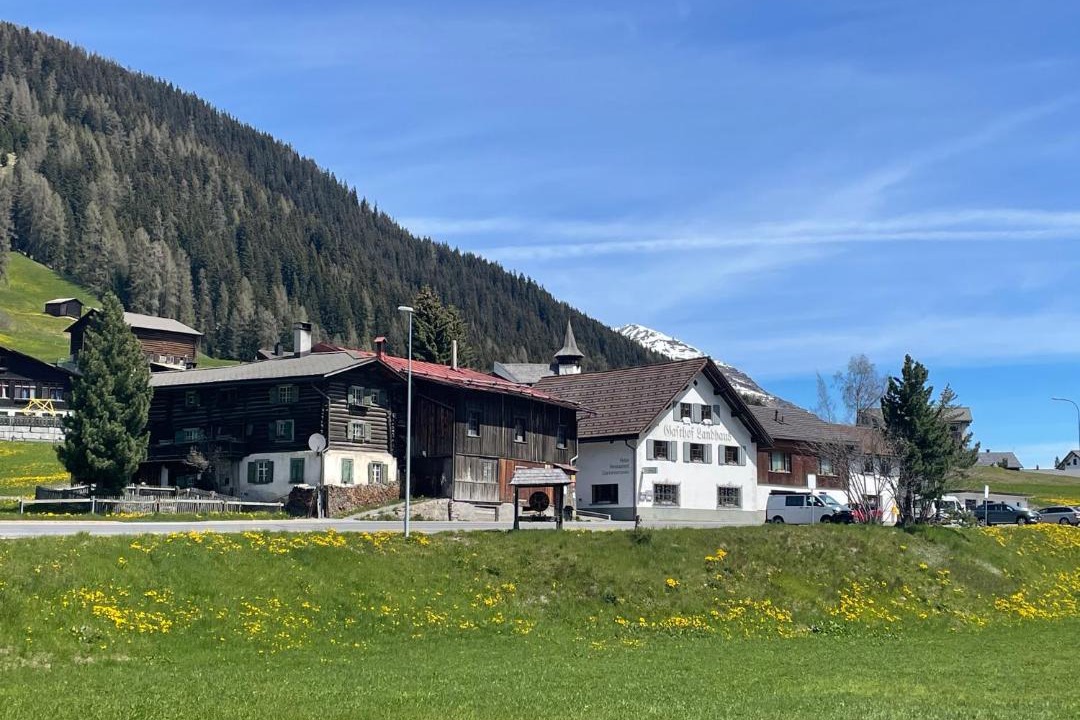 Photo of Others in Davos