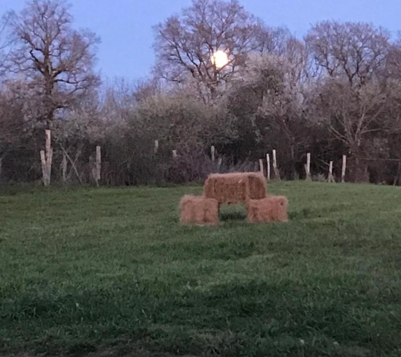 Photo of Others in Lussac-Les-Eglises