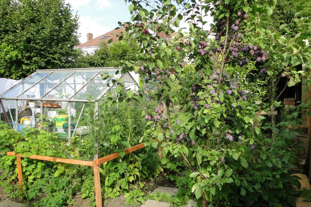 Photo of Others in Filton