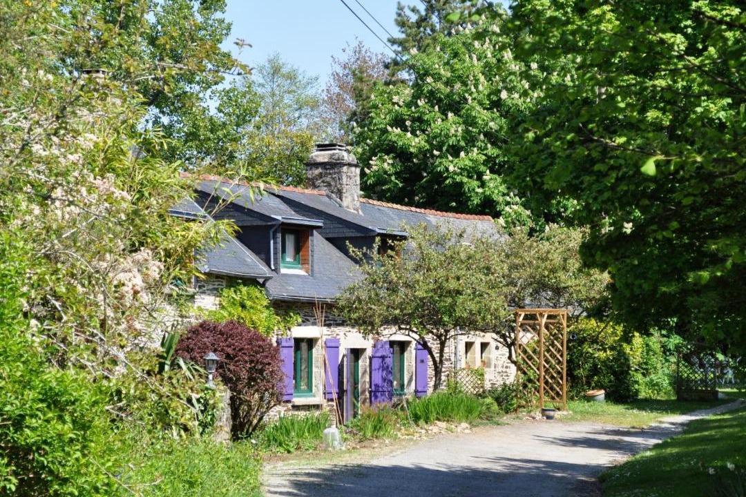 Photo of Others in Laz