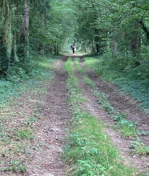 Photo of Outdoor in Bazouges-la-Perouse