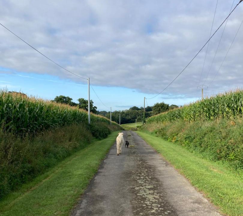 Photo of Outdoor in Bazouges-la-Perouse