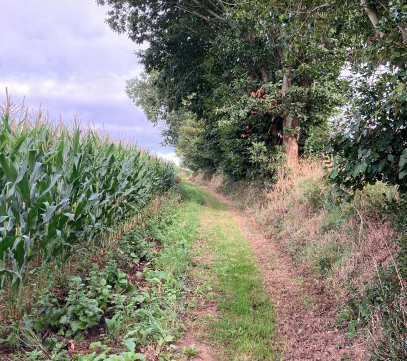 Photo of Others in Bazouges-la-Perouse