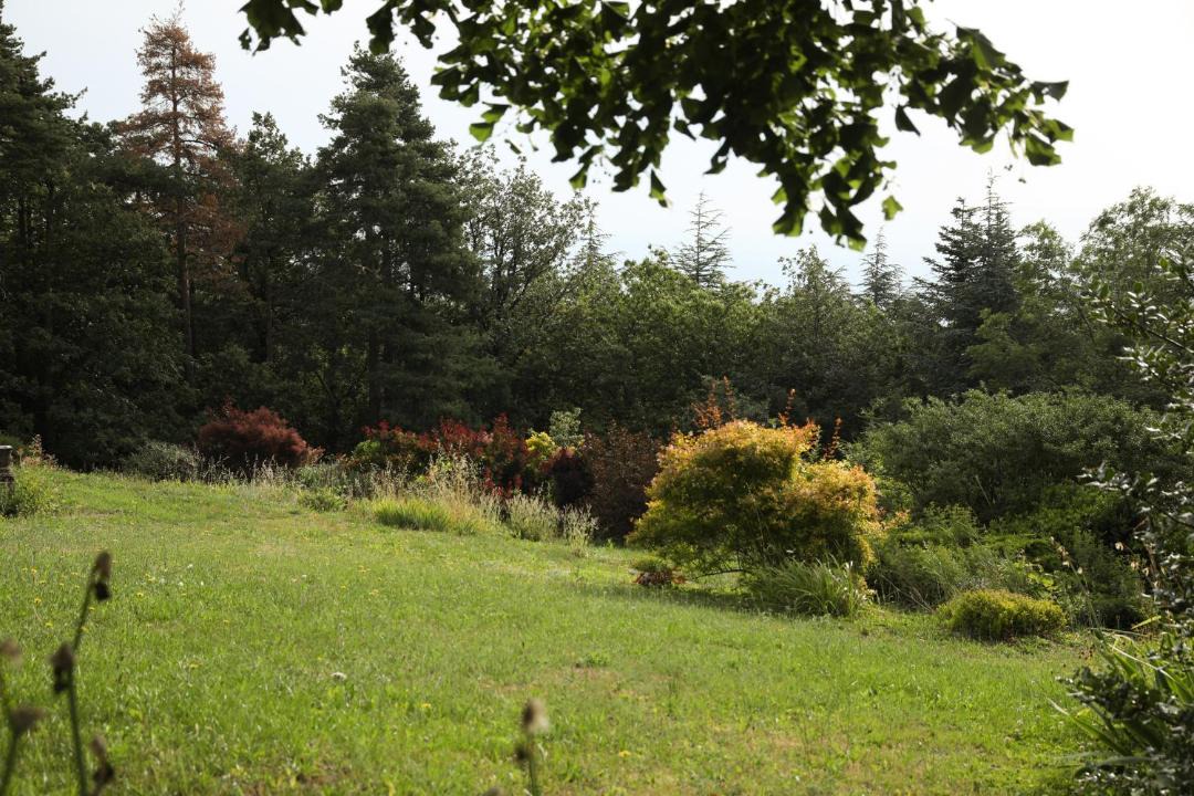 Photo of Others in Saint-Romain-de-Lerps