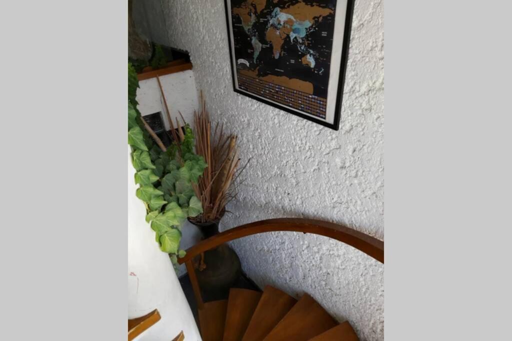 Photo of Bedroom in Lengueta Arenosa